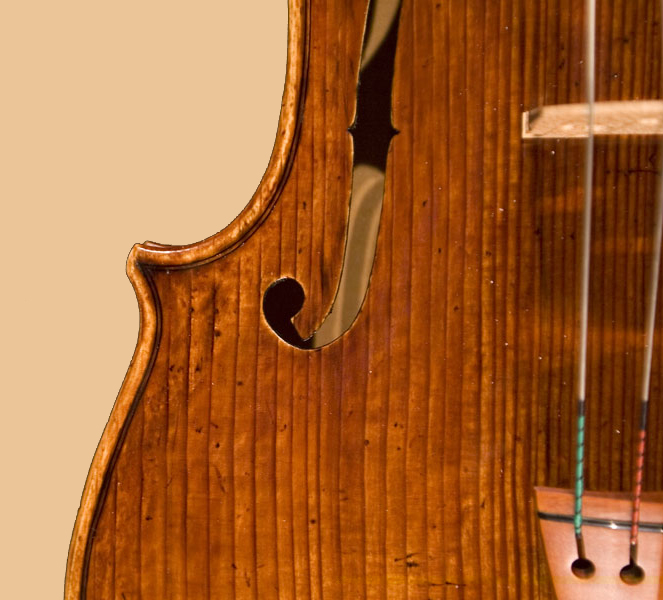 Viola Da Saló Uilderks in detail