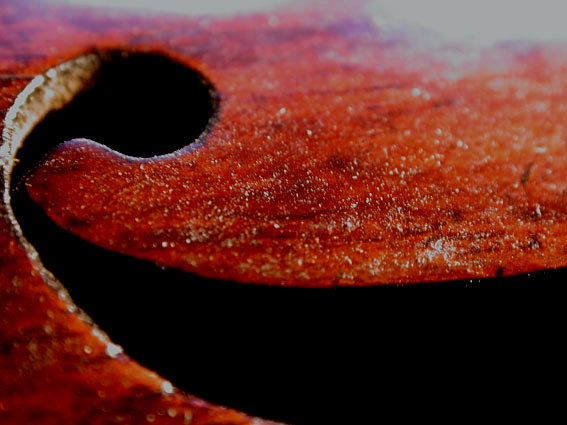 A violin dirtied with rosin