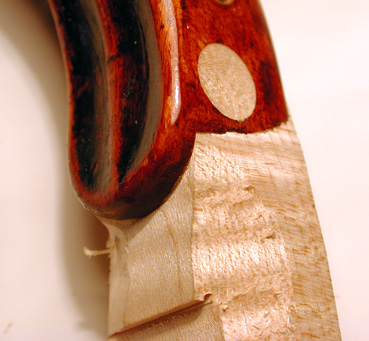 Photo of a violin scroll graft