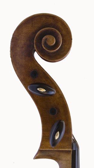 The cello's scroll